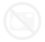 190Wp Poly GermanSolar PremiumLine (1.25 EUR/Wp)